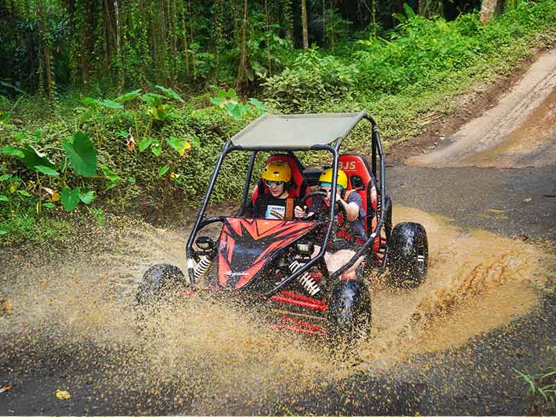 Bali Buggy Tour Reviews