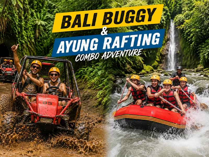 Bali Buggy and Ayung Rafting Combo Adventure