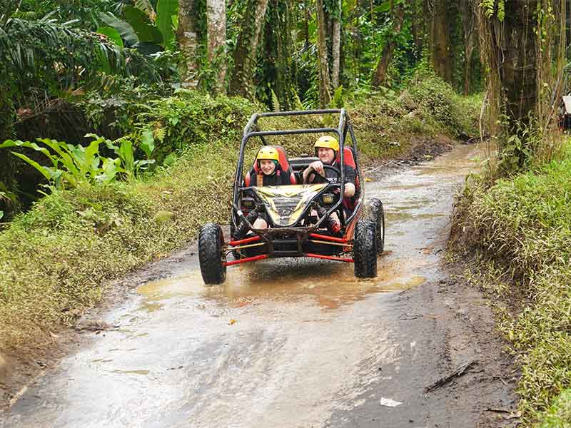 UTV Buggy Bali with Hotel Transfer