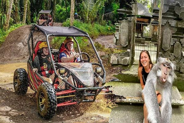 UTV Buggy Bali and Sangeh Monkey Forest Tour